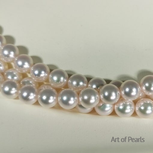 Perles Akoya rangs