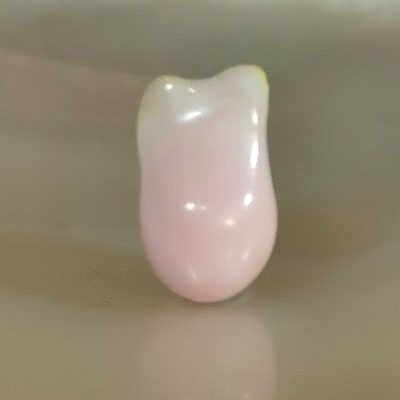 Conche perle naturelle baroque - 3,64cts