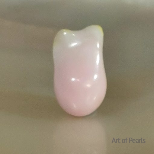 Conche perle naturelle baroque - 3,64cts