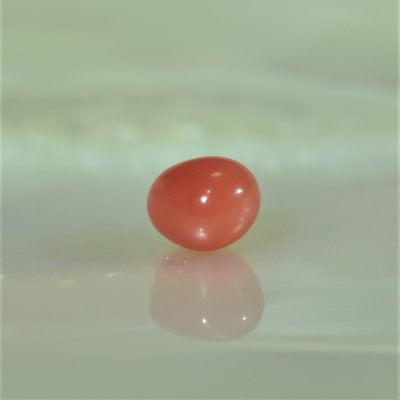 perle de Conche