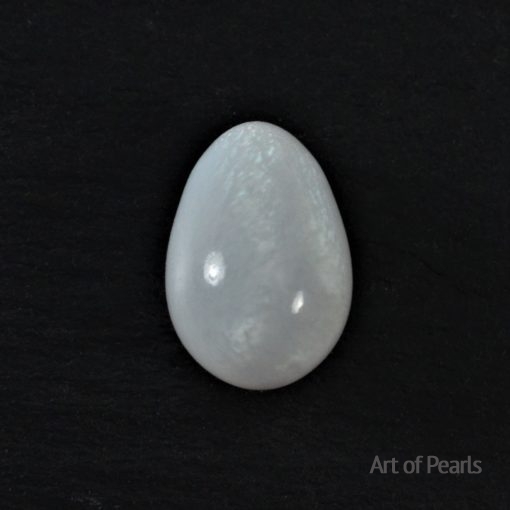 Natural pearl Clam hyppopus