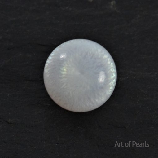 Natural Clam pearl Button