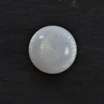 Natural Clam pearl Button