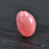 perle naturelle de Conche