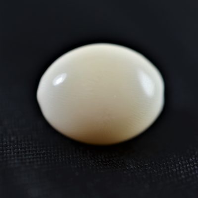 Natural Conch pearl white