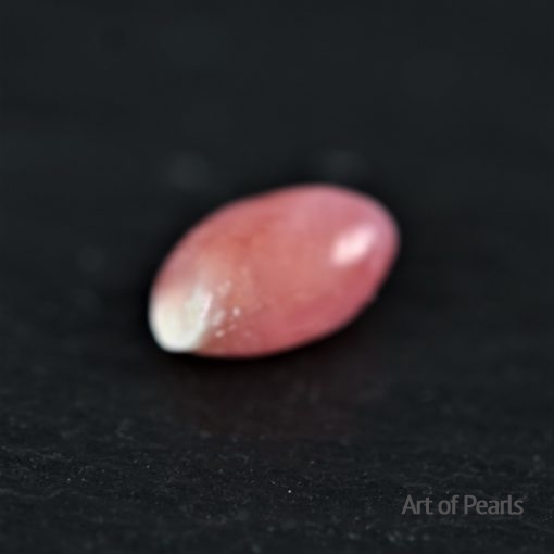 Natürliche Perle Conch