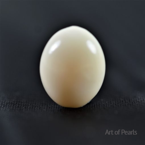 natural conch pearl white
