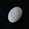 perle naturelle Clam drop