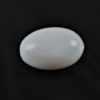 perle naturelle Clam