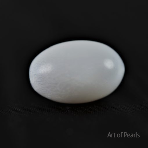 perle naturelle Clam