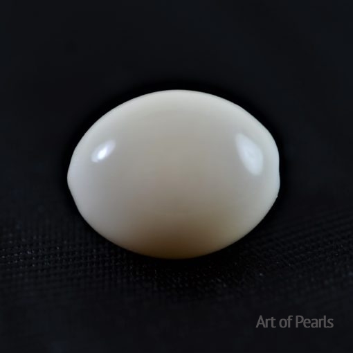 White Conch natural pearl
