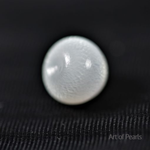 Clam pearl
