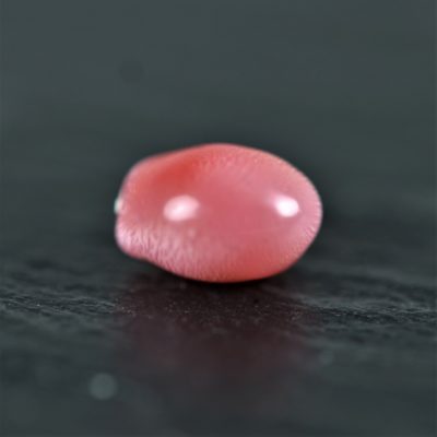 perle naturelle de Conche avec flammes