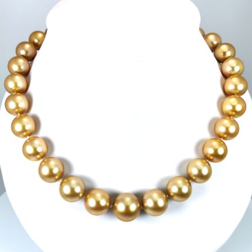 Golden Southsea collier