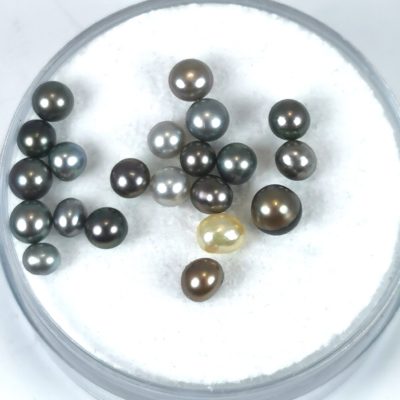 Perles naturelles Pteria lot