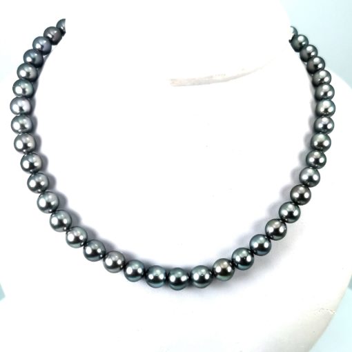 choker perles de Tahiti rondes