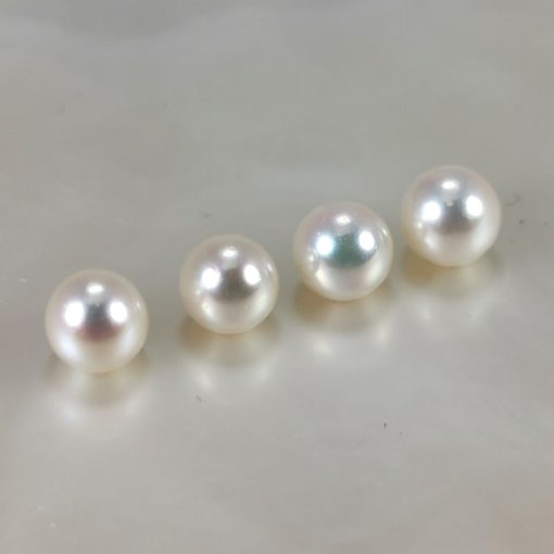 Akoya looses rondes 5.5x6 mm