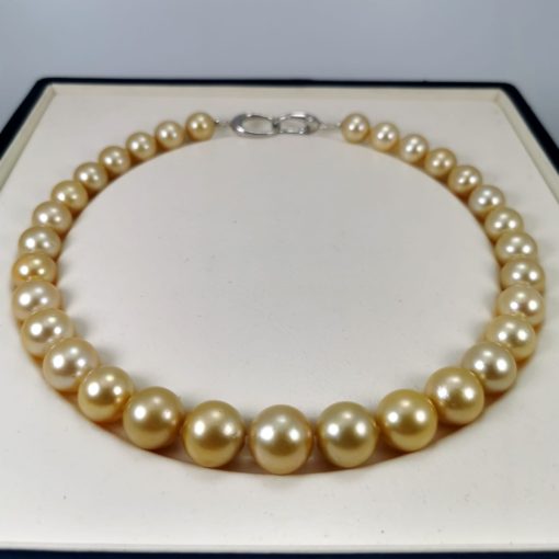 Collier perles golden d'Australie rondes
