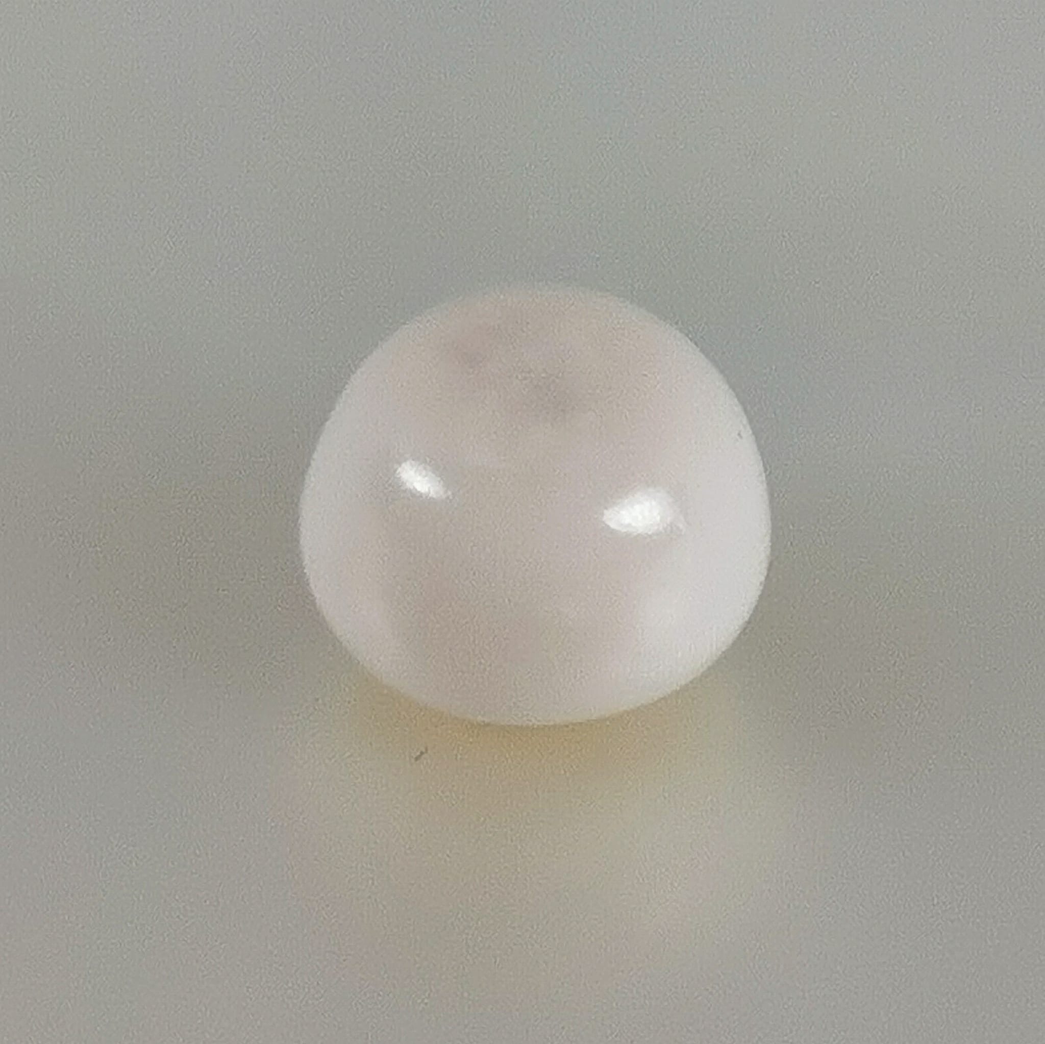 natural Cassis pearl
