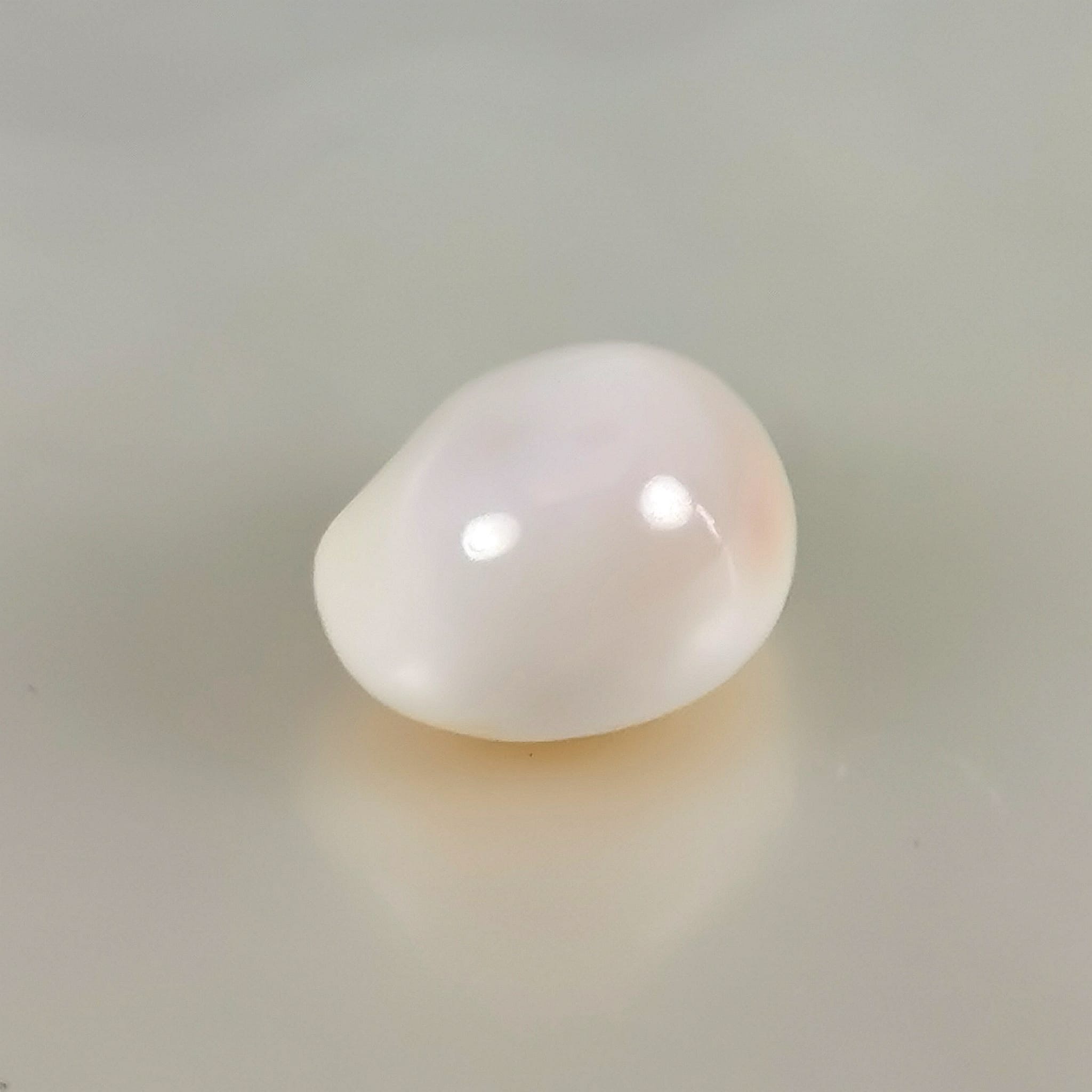 natural Cassis pearl BQ 9.4mm