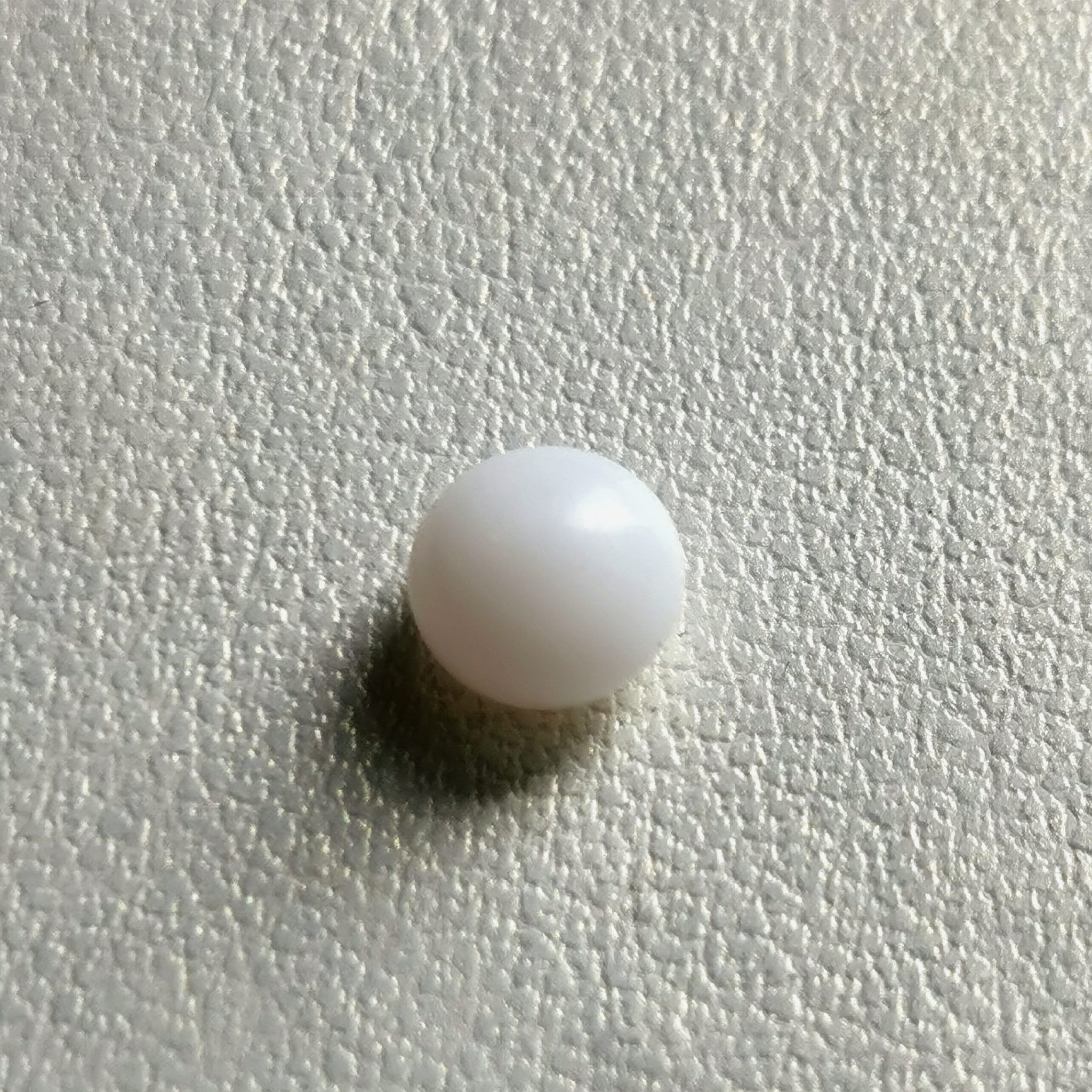 perle fine bouton Clam Hyppopus