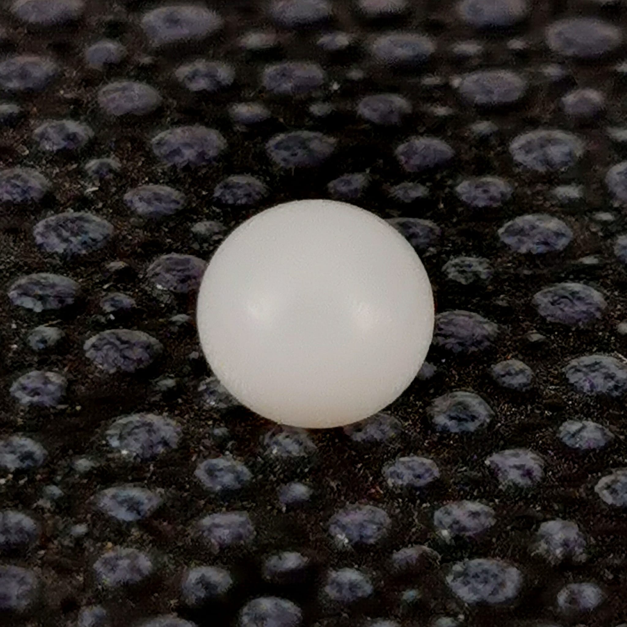 natural Clam Hyppopus pearl button