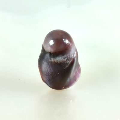 natural pearl purple Modiolus
