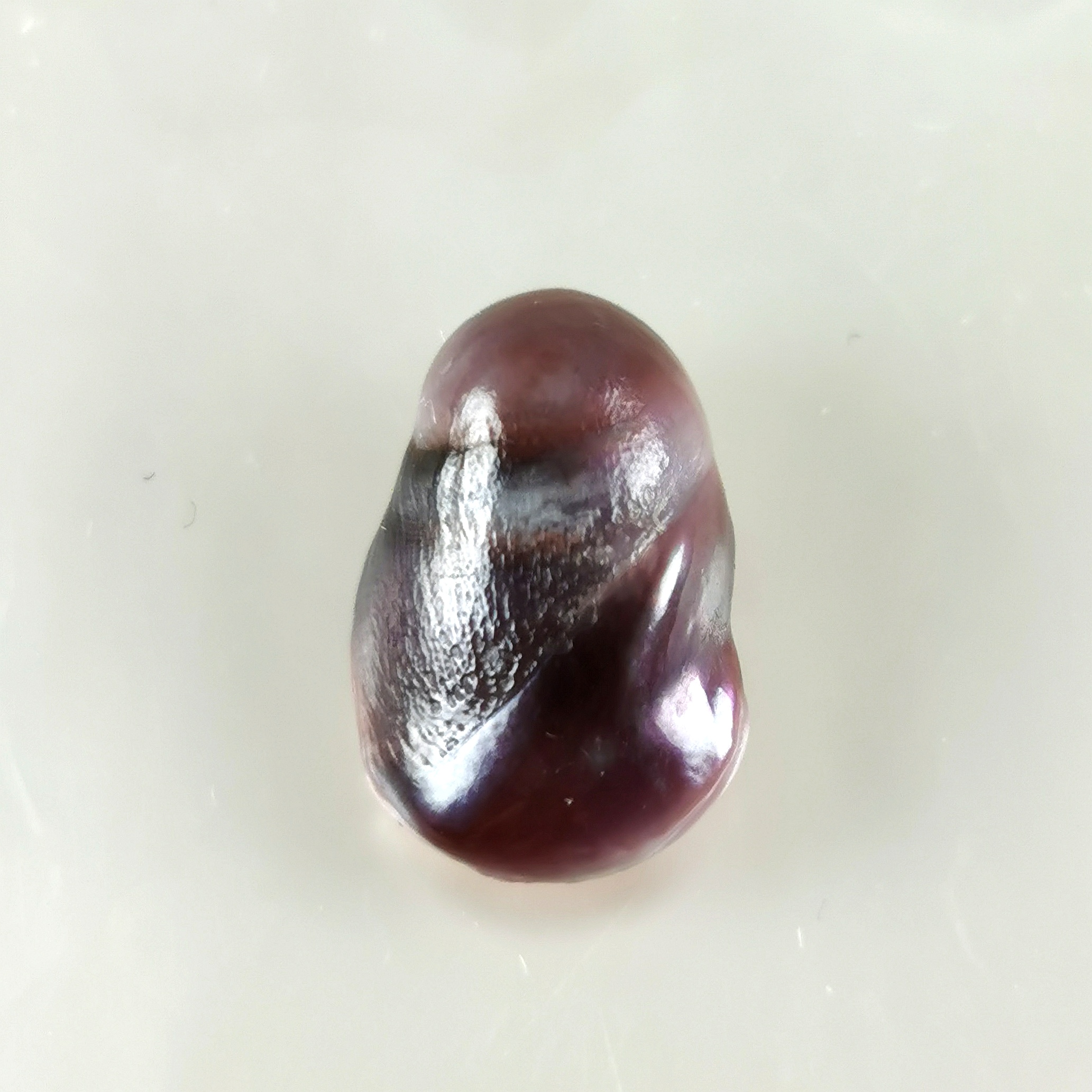 perle fine Modiolus BQ