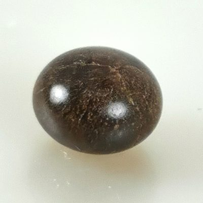 Atrina perle naturelle BT