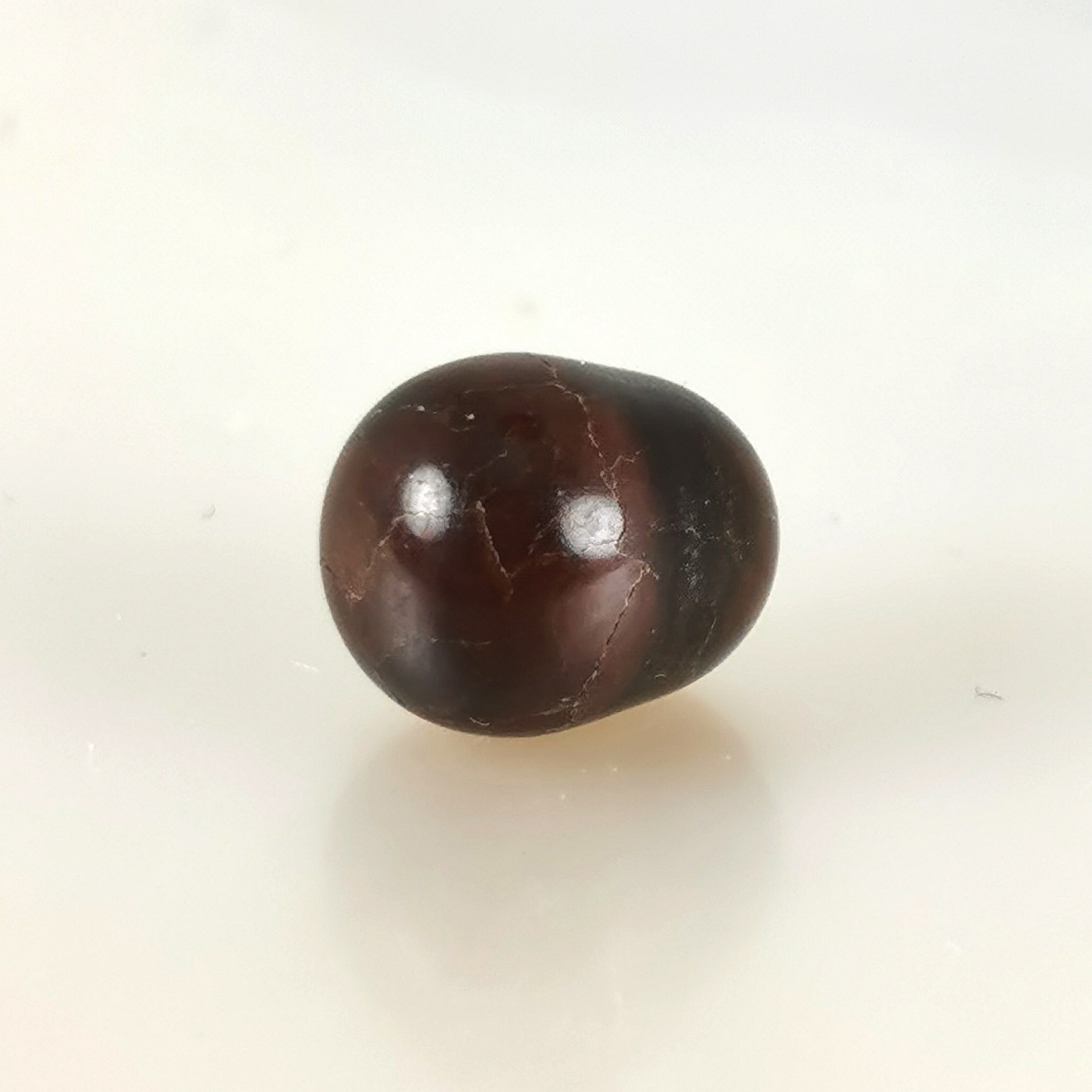 perle naturelle BQ Atrina