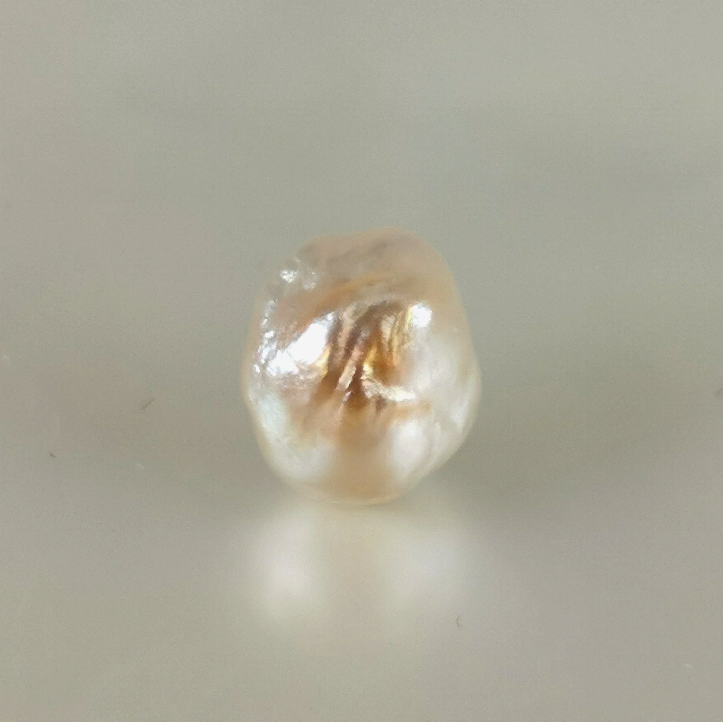 Natural Pteria sterna pearl baroque shape